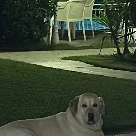 Belka Golf Exclusive Poolside Μπέλεκ